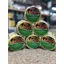 Likit 650grams - Pineapple