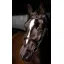 LeMieux Arika Cavesson Bridle - Brown