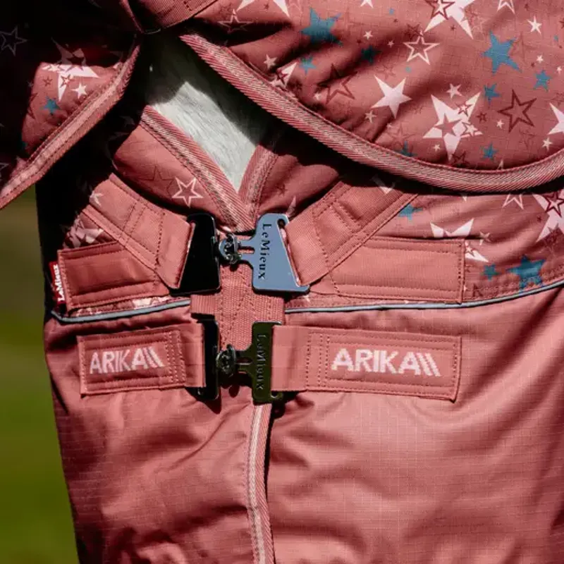 LeMieux Arika Star Turnout Rug 100g - Spiced Earth-2