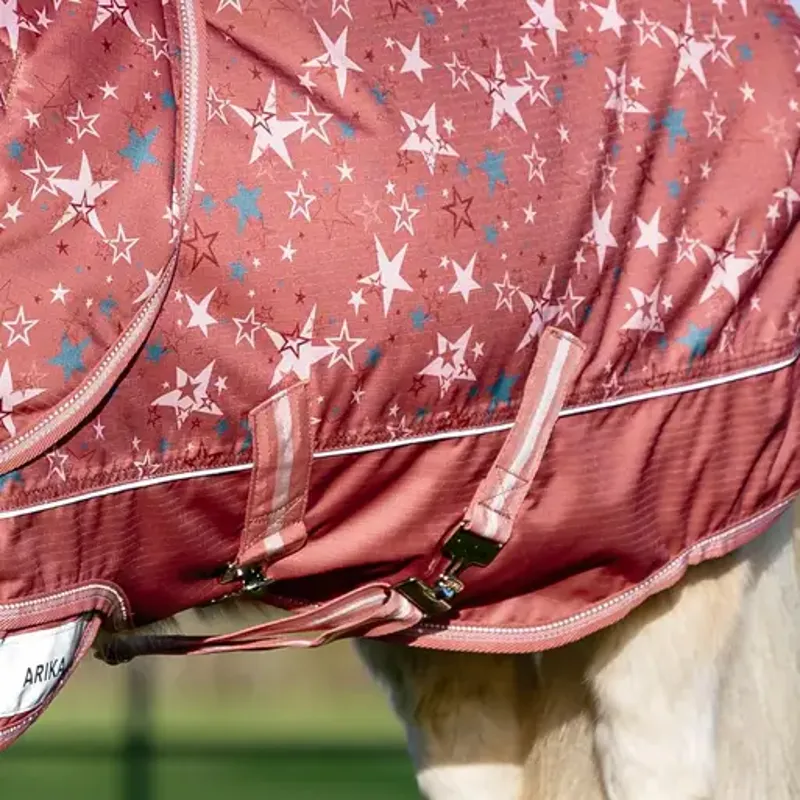LeMieux Arika Star Turnout Rug 200g - Spiced Earth-4