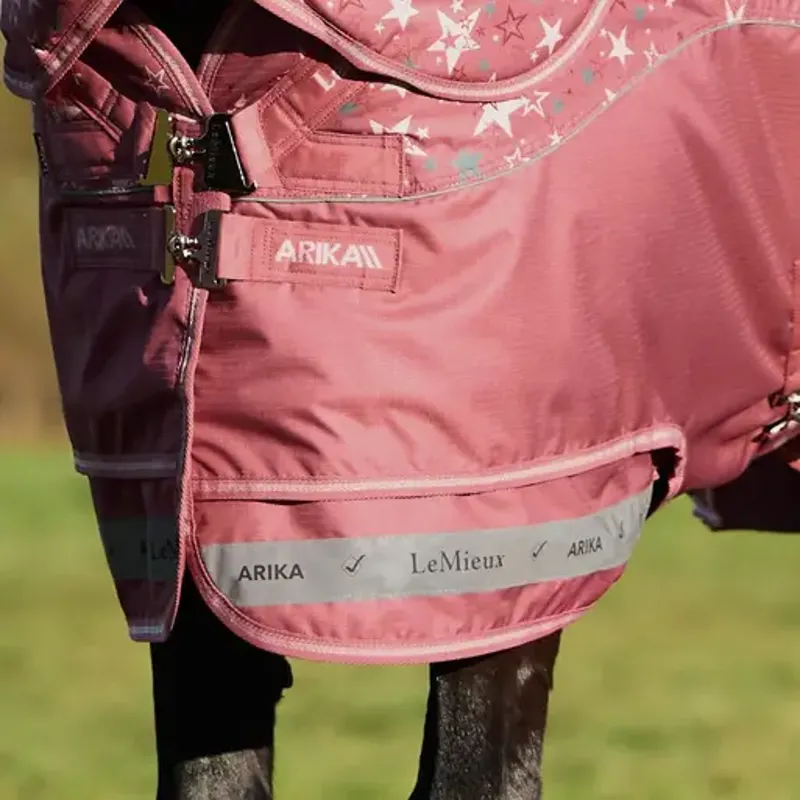 LeMieux Arika Star Turnout Rug 200g - Spiced Earth-6