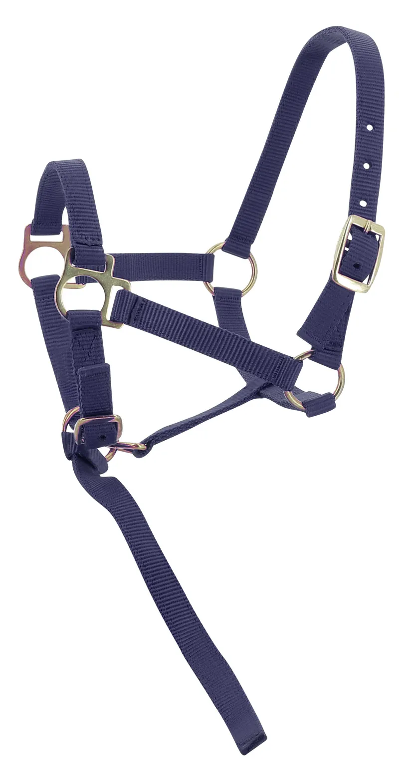 Norton Foal Headcollar and Leadrope - Navy