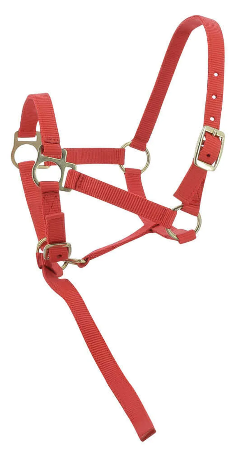 Norton Foal Headcollar and Leadrope - Red