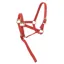 Norton Foal Headcollar and Leadrope - Red
