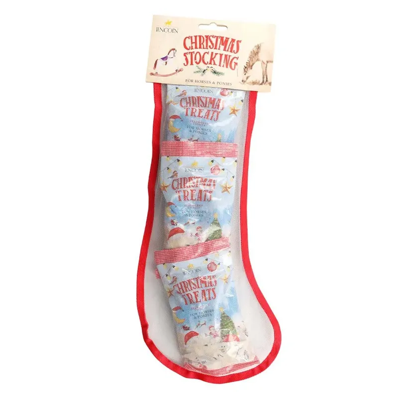 Lincoln Christmas Stocking - Treats