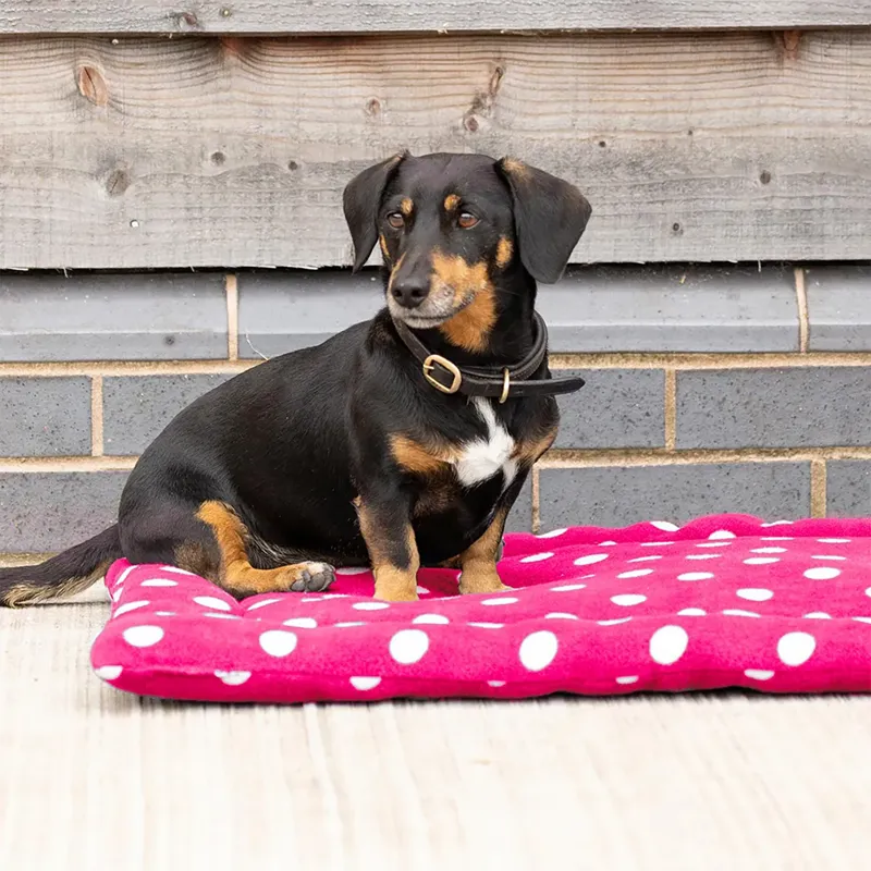 Supreme Products Dotty Fleece Dog Bed - - Paradise Pink