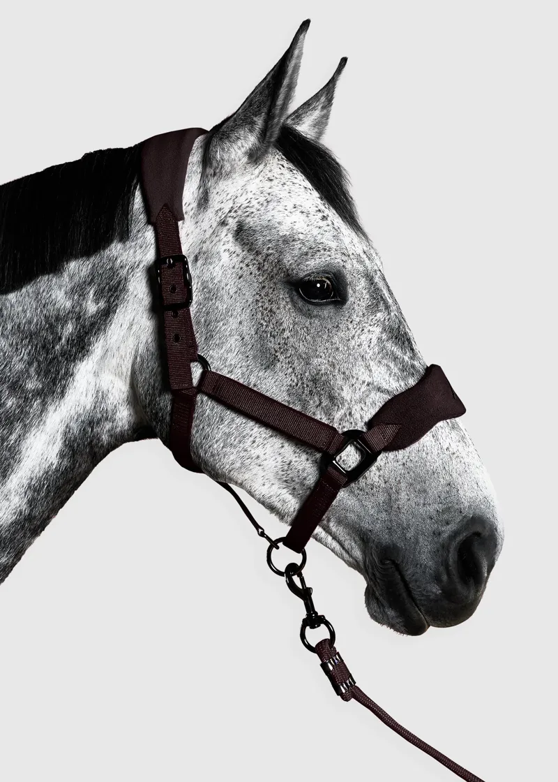 Aztec Diamond Panel Headcollar - Espresso