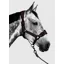 Aztec Diamond Panel Headcollar - Espresso