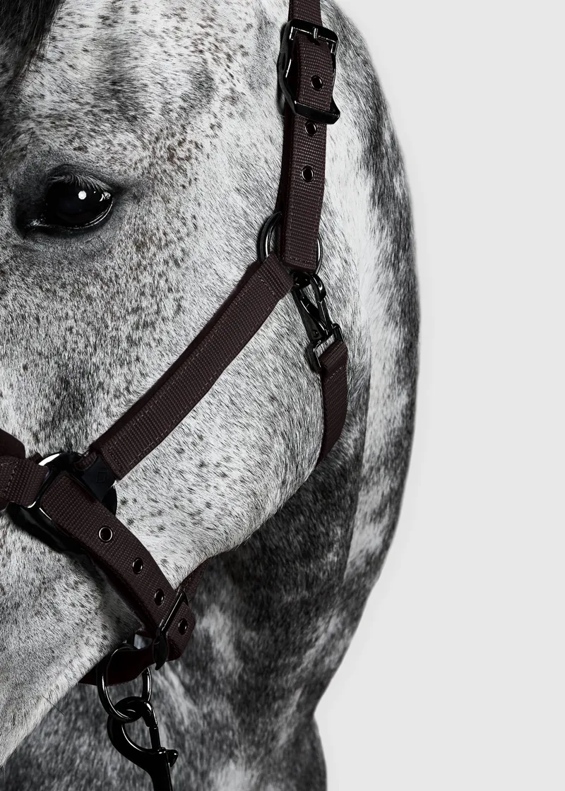 Aztec Diamond Panel Headcollar - Espresso-2