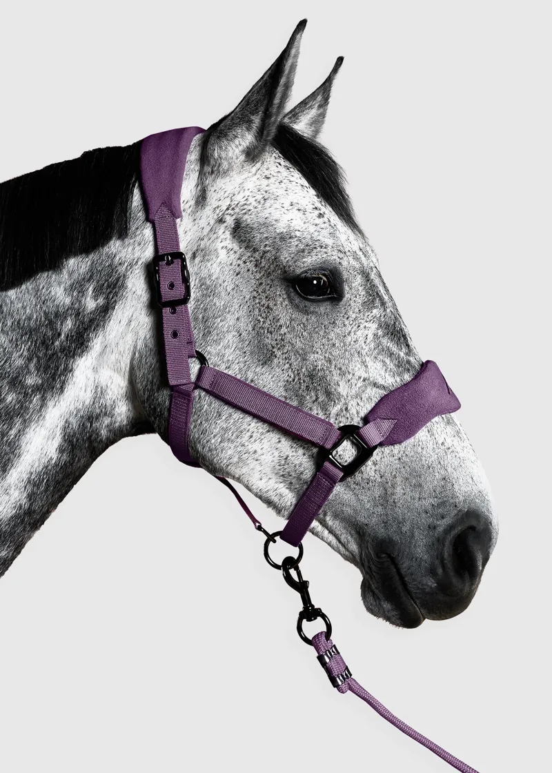 Aztec Diamond Panel Headcollar - Plum