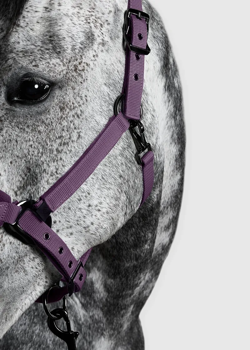 Aztec Diamond Panel Headcollar - Plum-3
