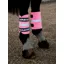 EQUI-FLECTORÂ Wraps - PINK