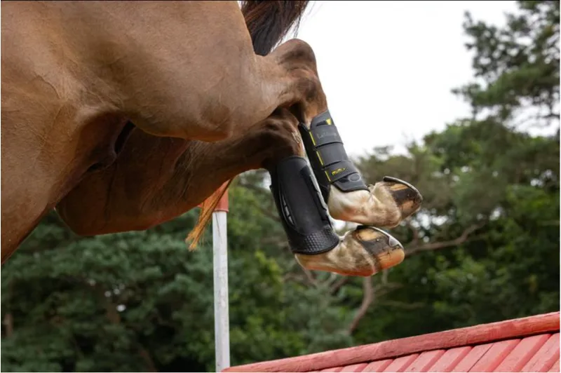 Lemieux MIMsafe XC Boot Black - Hind