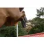 Lemieux MIMsafe XC Boot Black - Hind