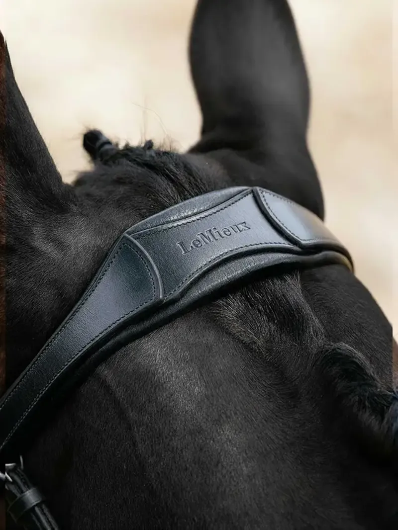 LeMieux Arika Anatomic Split Noseband Bridle  -Black/Silver-1
