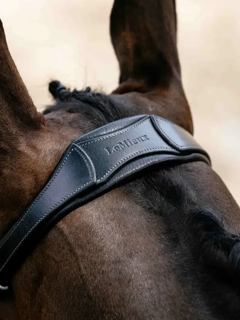 LeMieux Arika Anatomic Drop Bridle - Black/Silver-1