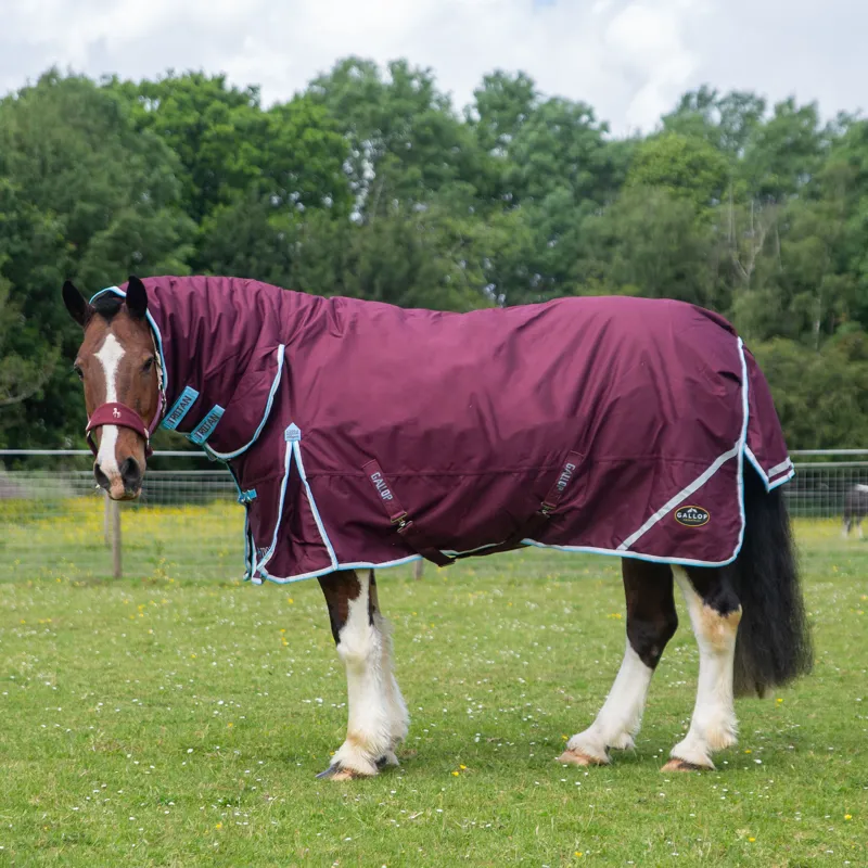 Gallop  Trojan Xtra Duraproof 300g Turnout Combo