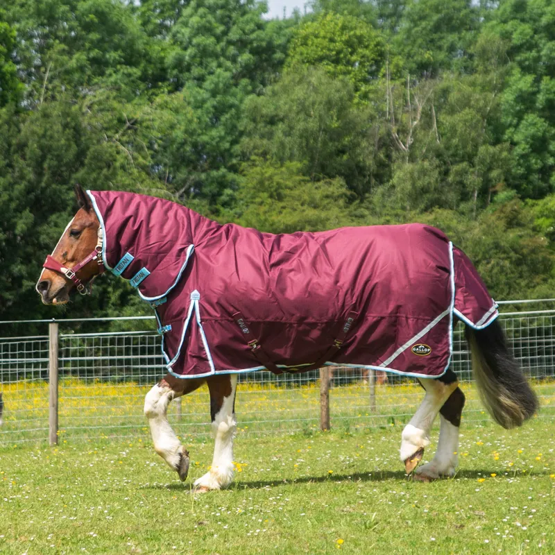 Gallop  Trojan Xtra Duraproof 300g Turnout Combo-4