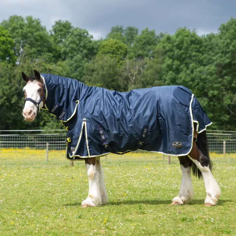 Gallop 600D Trojan 200g Duraproof Combo Turnout