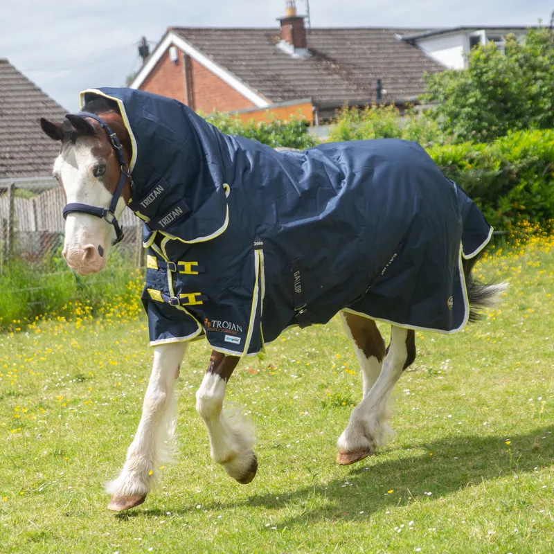 Gallop 600D Trojan 200g Duraproof Combo Turnout-4