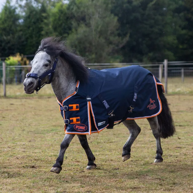 Gallop PONIE 100 Duraproof Turnout - Navy 600D 100g-4