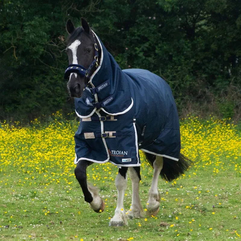 Gallop 600D TROJAN 100g Duraproof Combo Turnout Rug-1