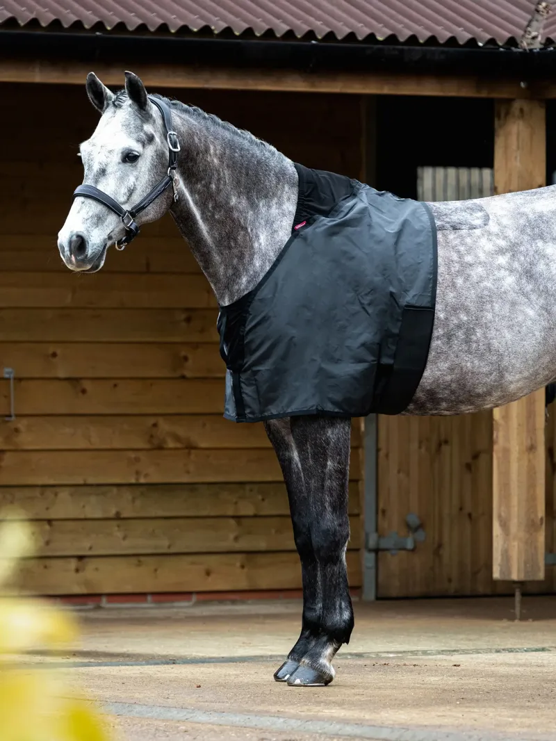 LeMieux Anti Rub Bib - Black Medium