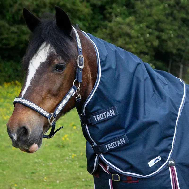 Gallop Trojan Duraproof 5-Point Lightweight Neck Cover