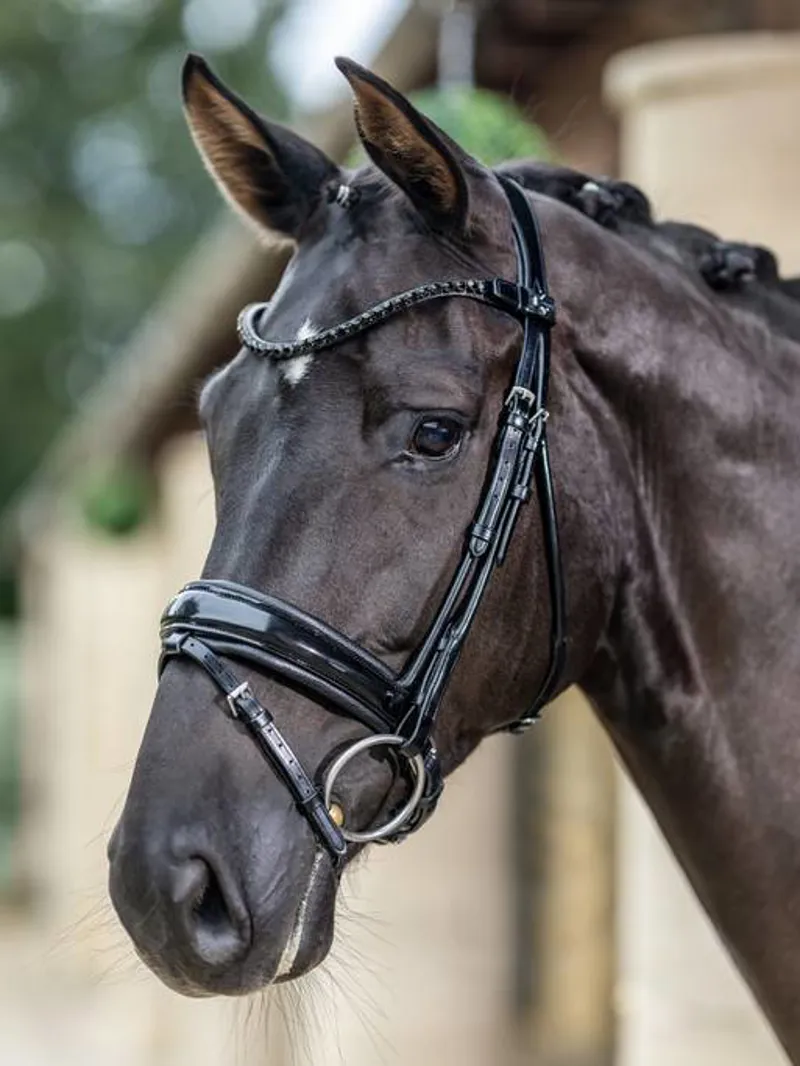 LeMieux Kudos Patent Dressage Bridle Black - Full