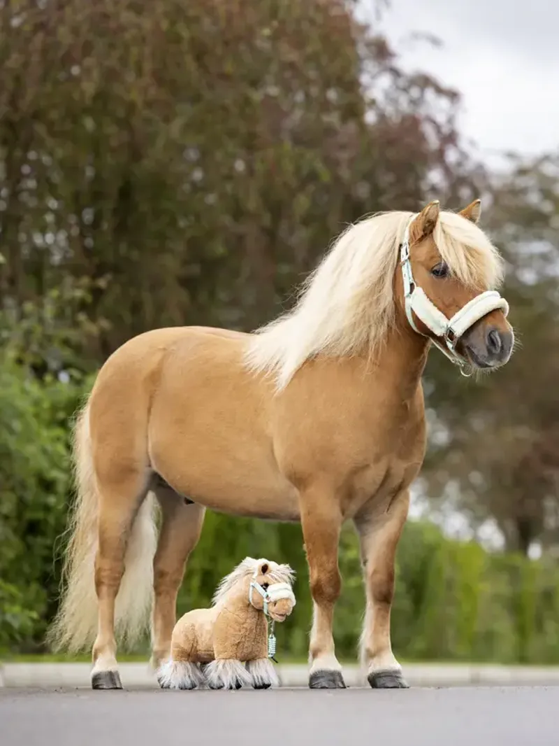 LeMieux Toy Pony - Cloudy-2