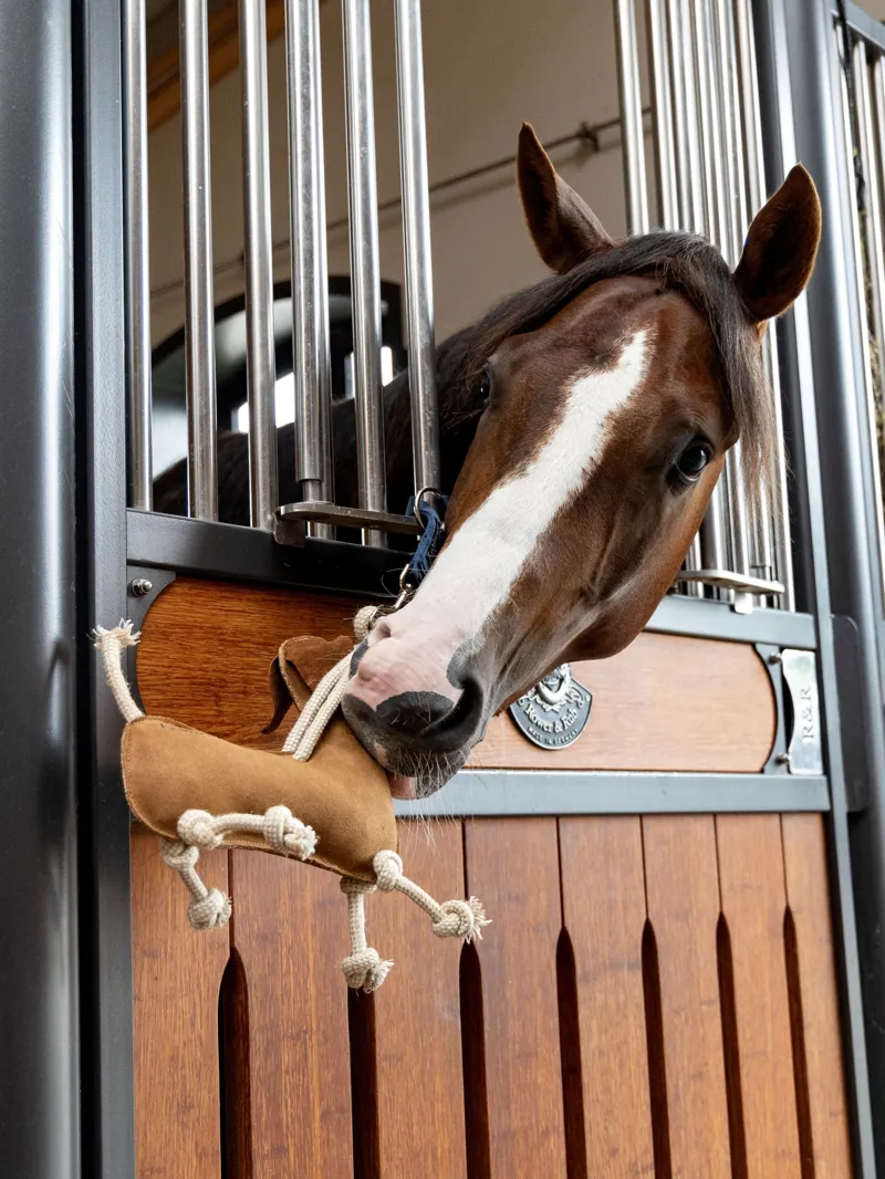 LeMieux Horse Stable Toy - Sausage Dog-2