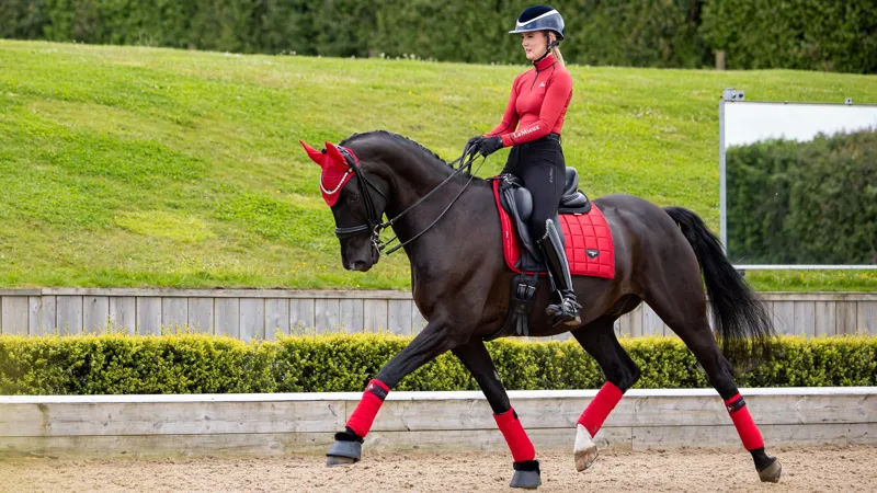 LeMieux Loire Classic Dressage Square  - Chilli - Large-2