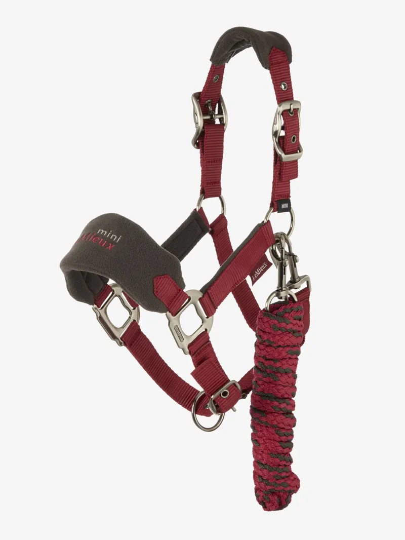 LeMieux Super Mini Vogue Headcollar and Leadrope - Ember