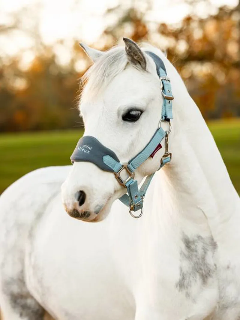 LeMieux Super Mini Vogue Headcollar and Leadrope - Ember-1