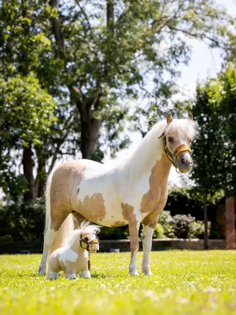 LeMieux Toy Pony - Lemon-1