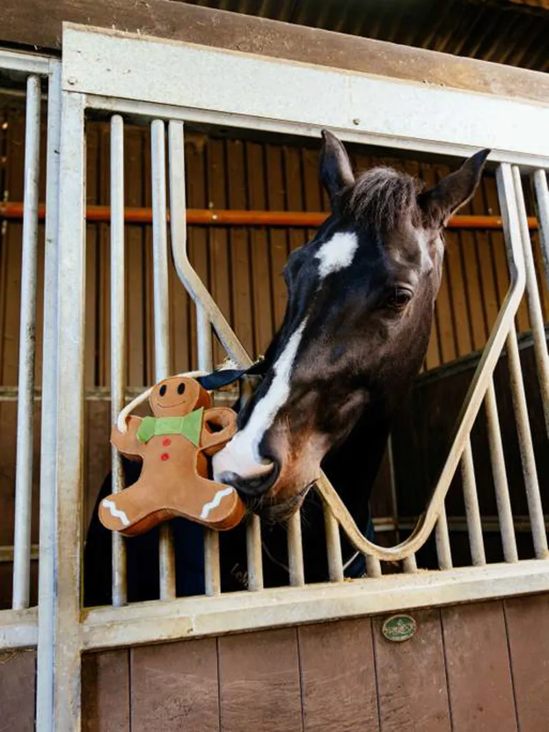 LeMieux Horse Stable Toy - Gingerbread Man-1