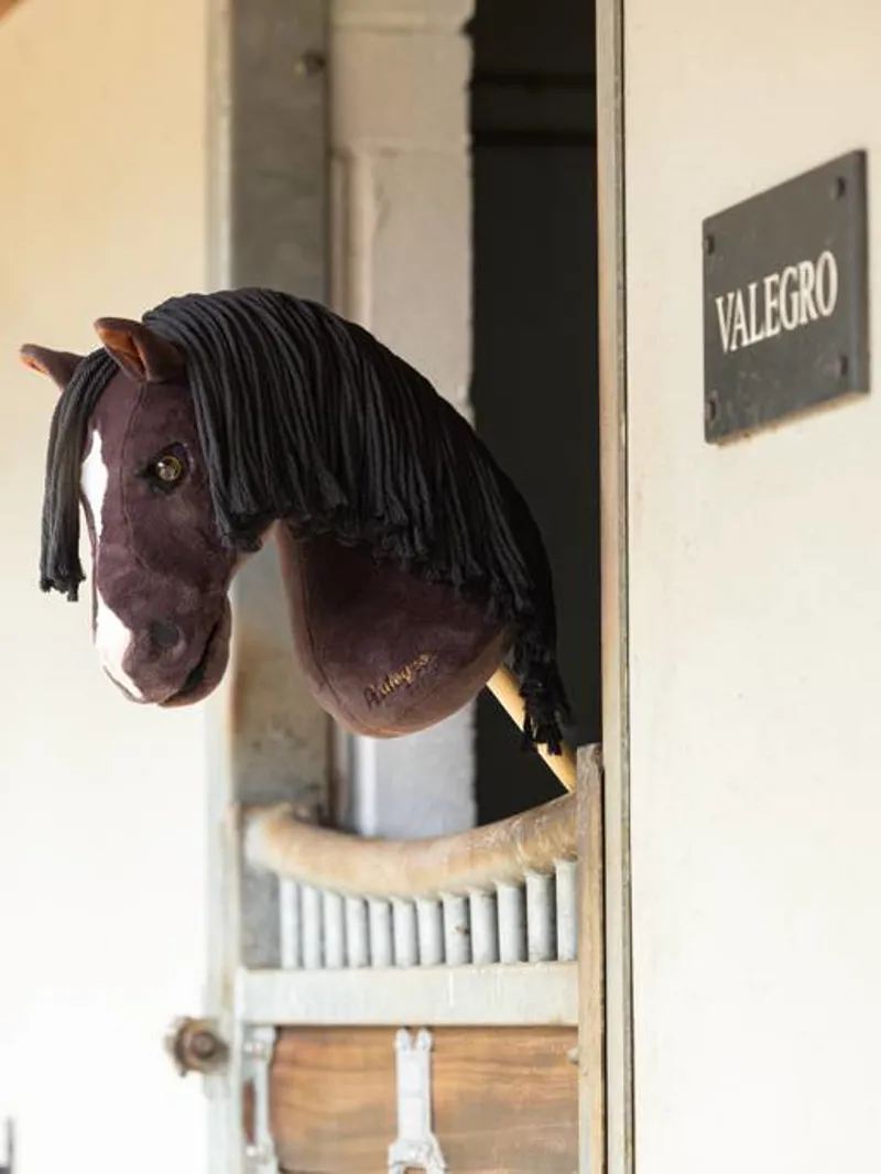 LeMieux Hobby Horse - Valegro-2
