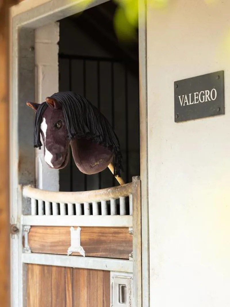 LeMieux Hobby Horse - Valegro-1