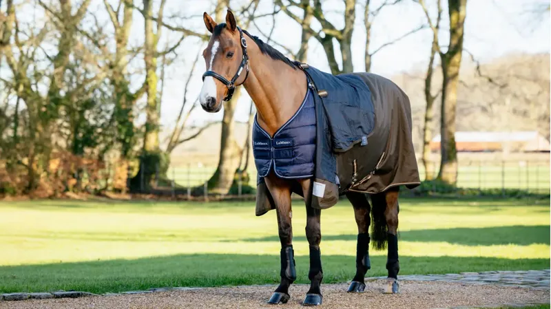 LeMieux Rug Liner 200g - Navy New-2