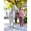 LeMieux Rope Halter - Blossom