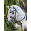 LeMieux Hobby Horse Running Martingale Black