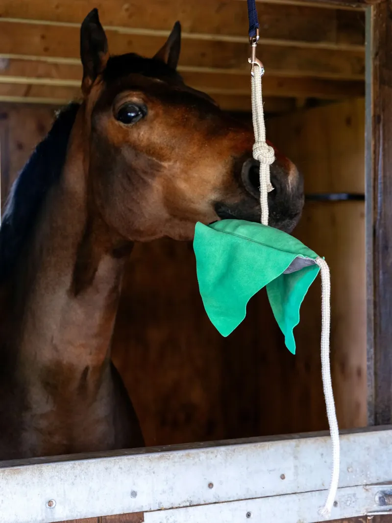 LeMieux Horse Stable Toy - Stingray-1