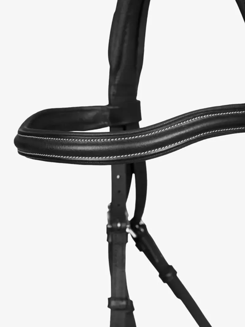 LeMieux Arika Split Noseband Bridle - Black-2