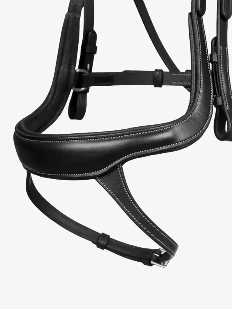 LeMieux Arika Split Noseband Bridle - Black-3