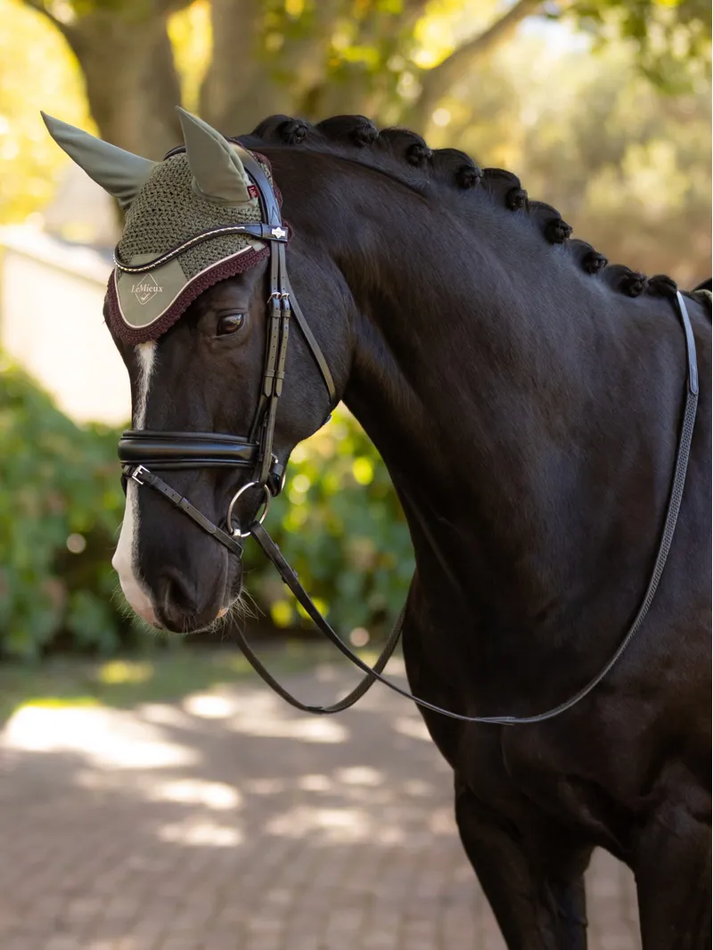 LeMieux Classic Fly Hood - Rosemary-1