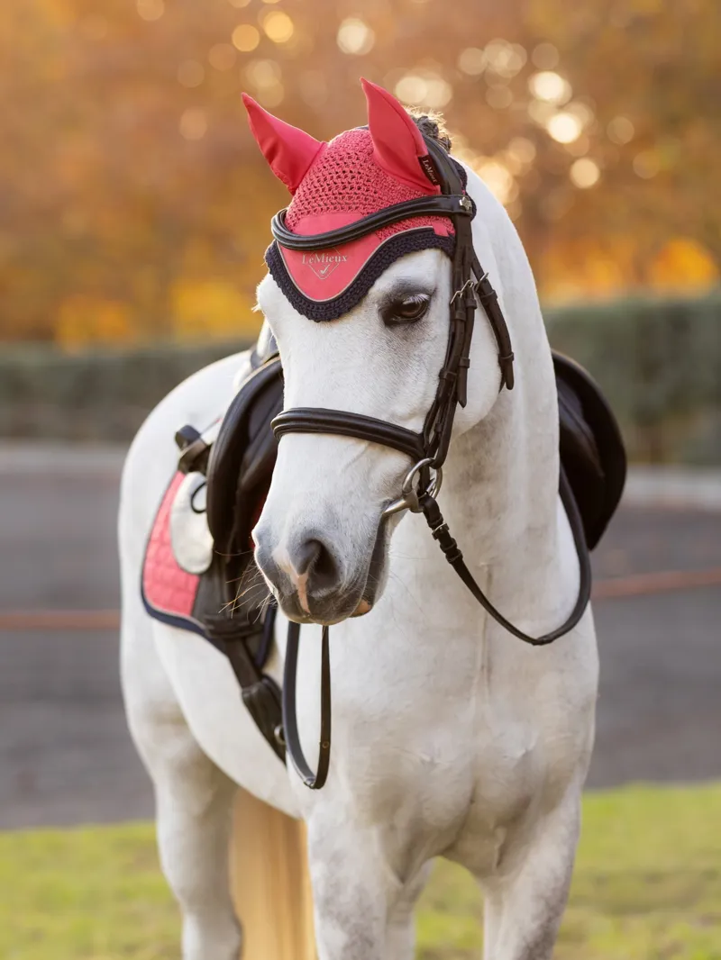 LeMieux Mini Classic Fly Hood - Cranberry -Small