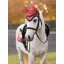 LeMieux Mini Classic Fly Hood - Cranberry -Small