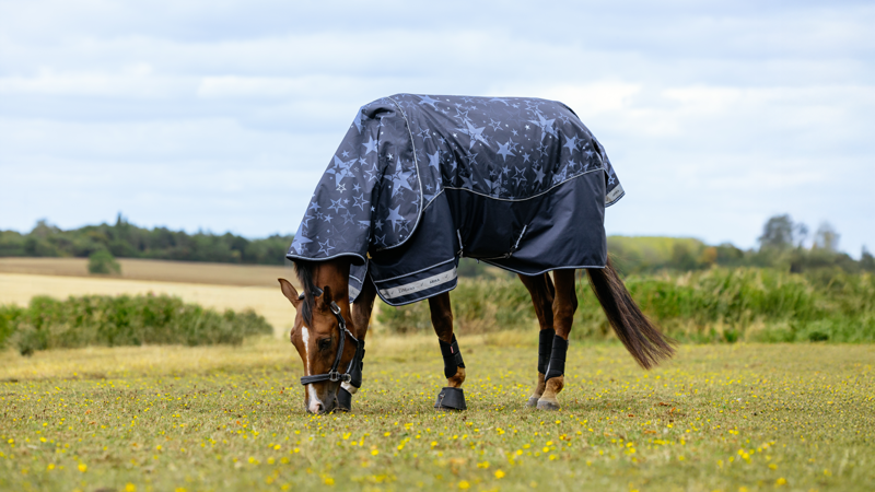 LeMieux Arika Star 100g Turnout Rug - Navy