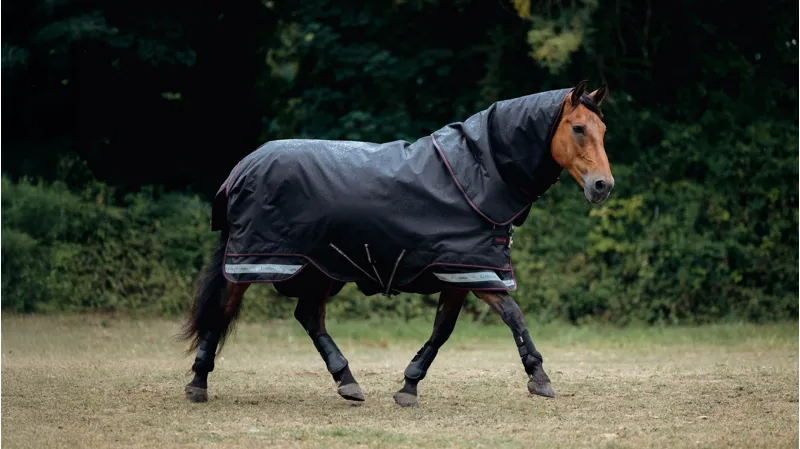 LeMieux Arika Storm-Tek Turnout Rug 100g - Black-2