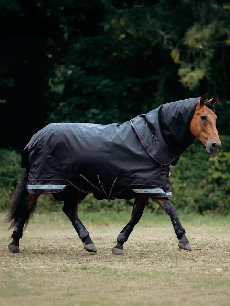 LeMieux Storm-Tek DAN Turn Out Rug  200g  - Black New-2